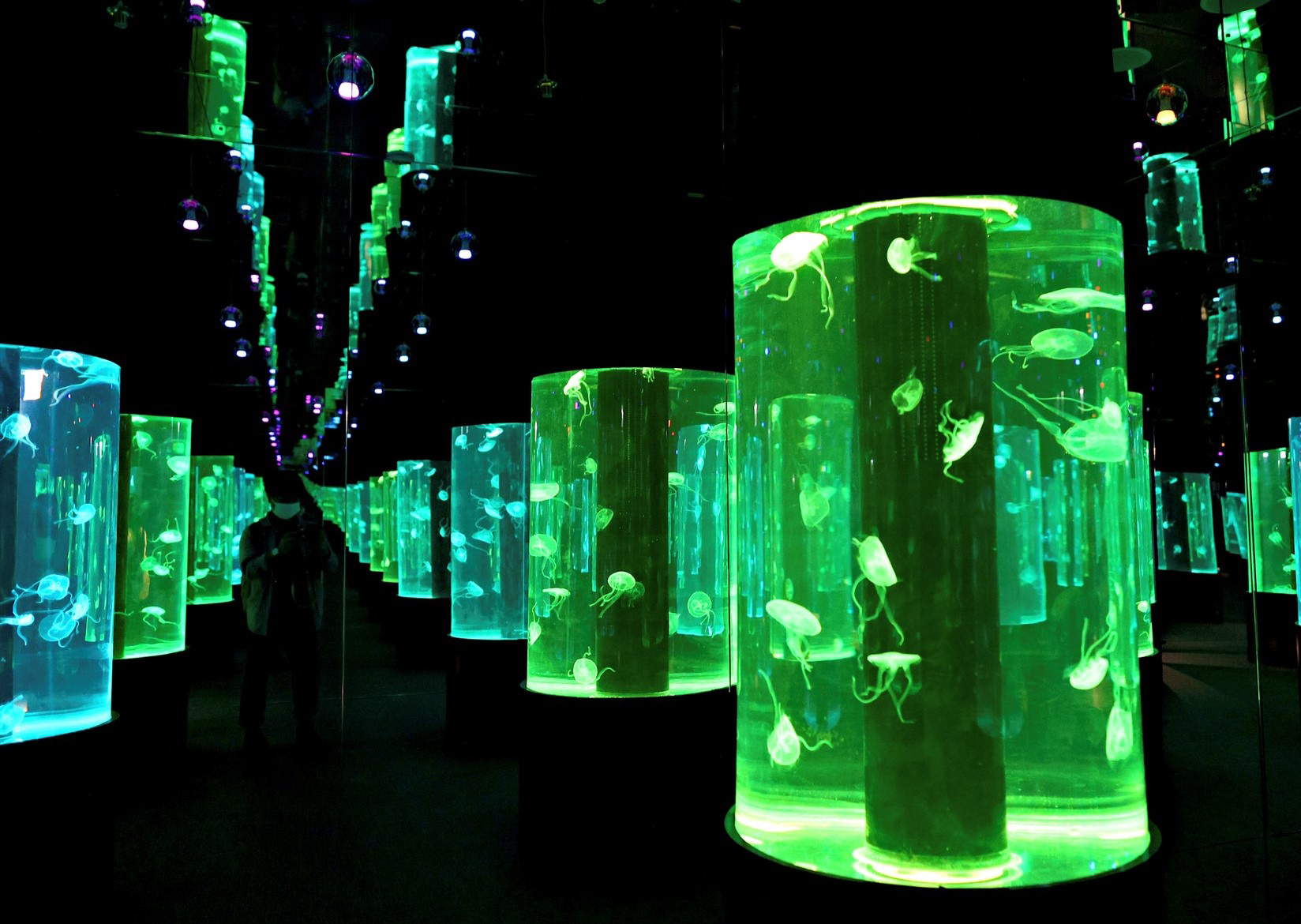 • — Children's viewing area — large blue jellyfish tank