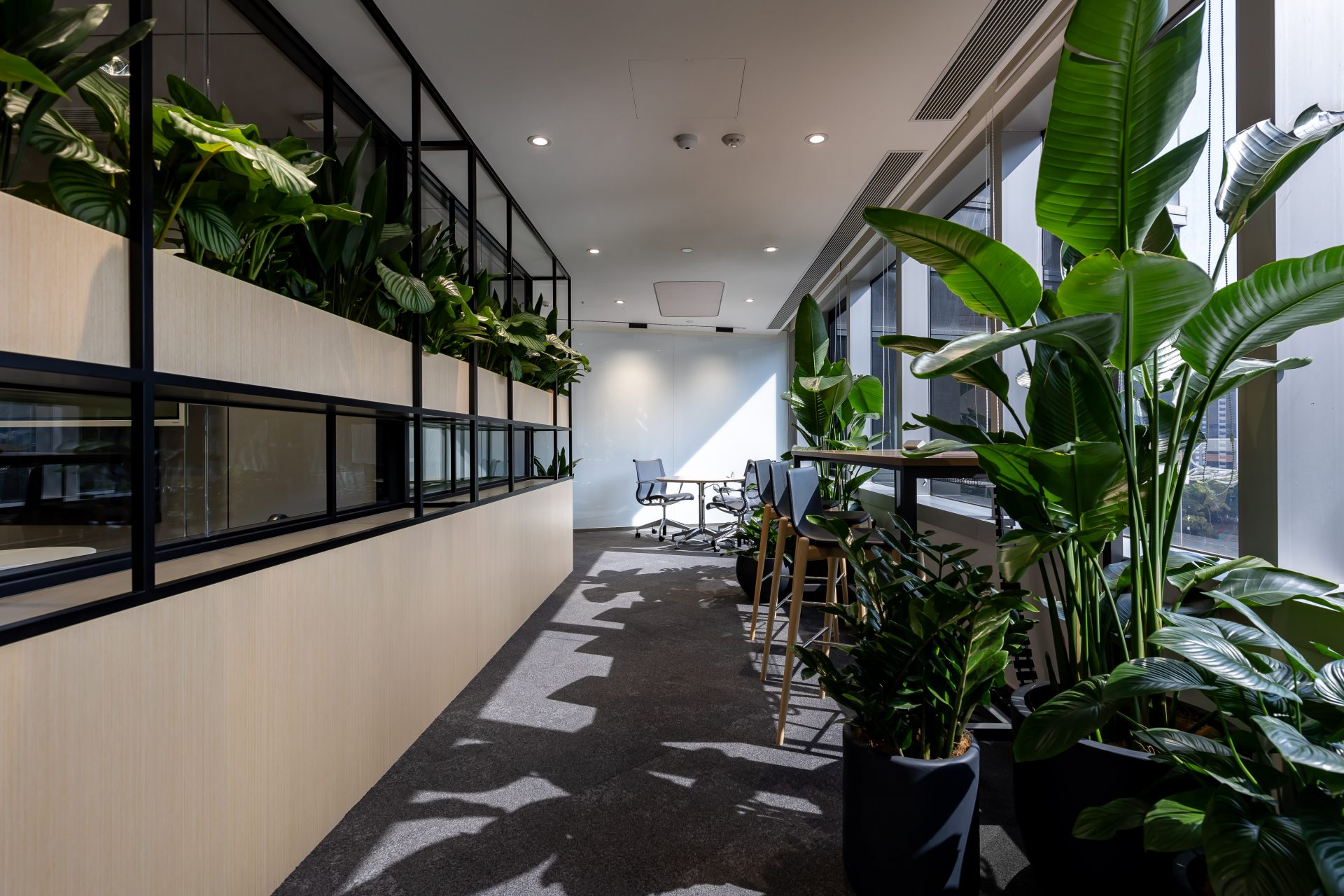 Bloomberg Collaboration Area