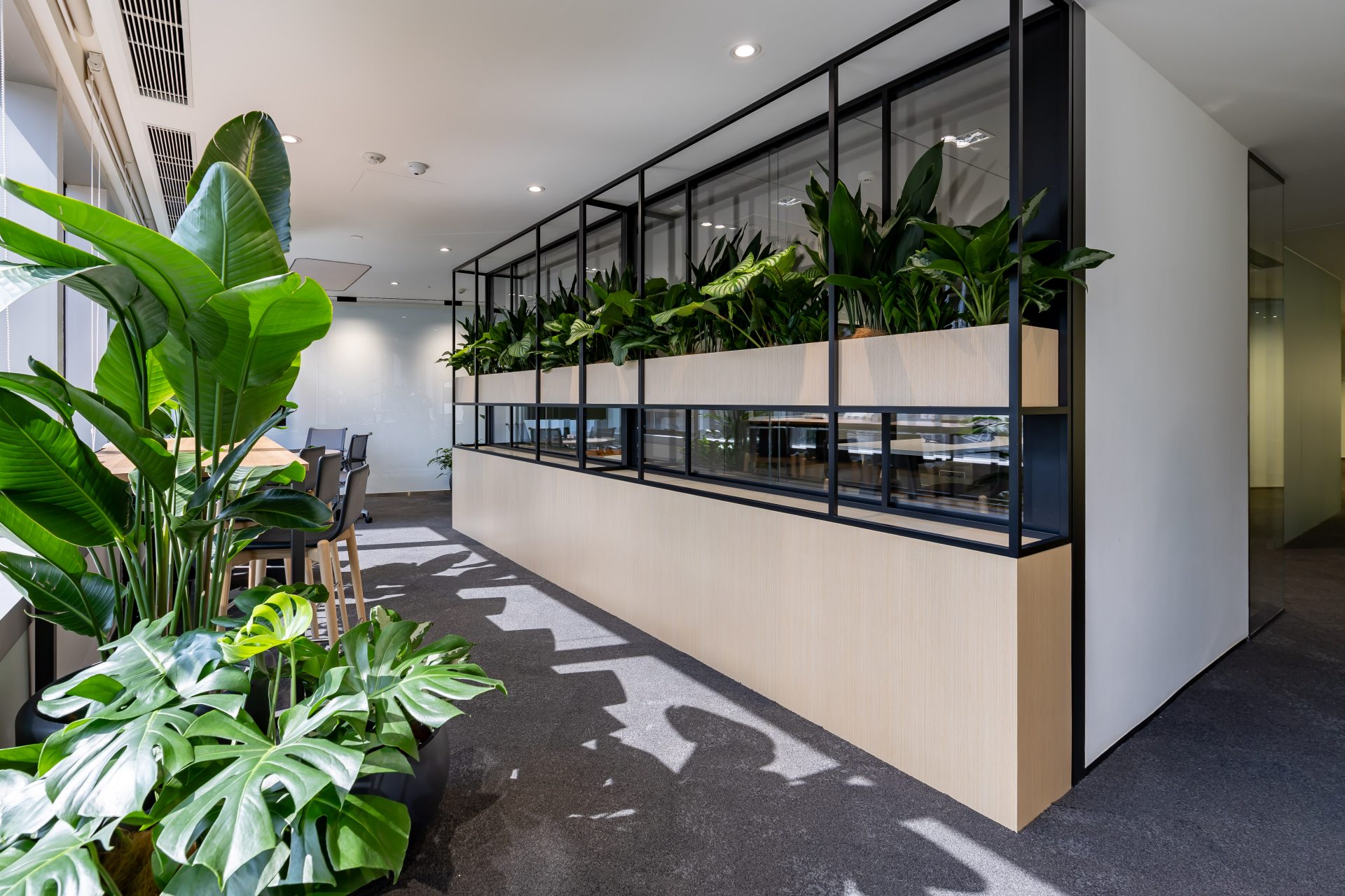Bloomberg Collaboration Area