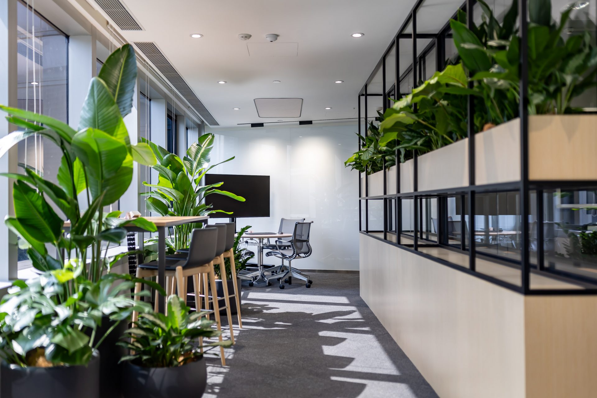 Bloomberg Collaboration Area
