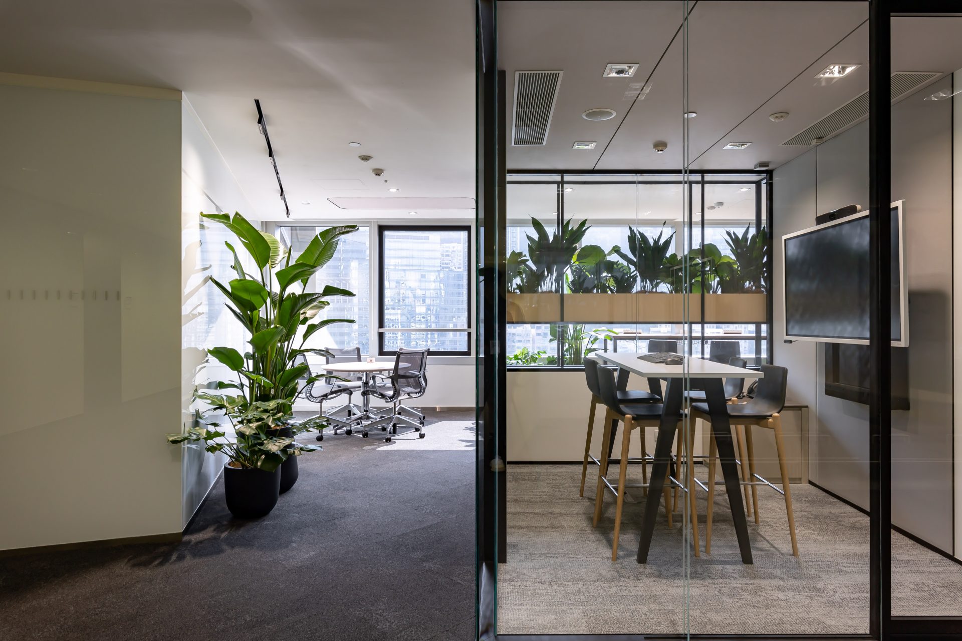 Bloomberg Collaboration Area