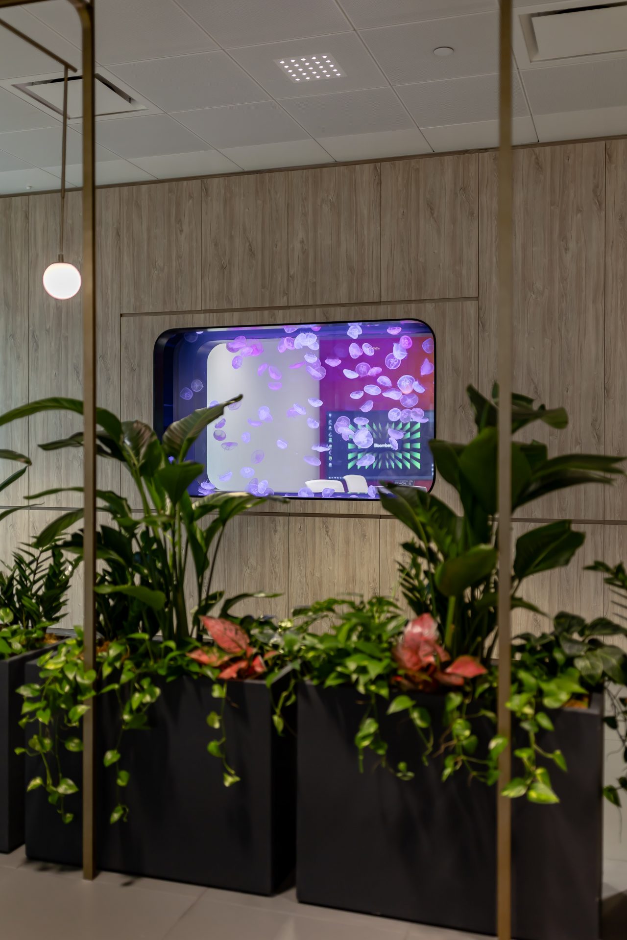 Bloomberg pantry and meeting-room feature wall | Official completion photographs