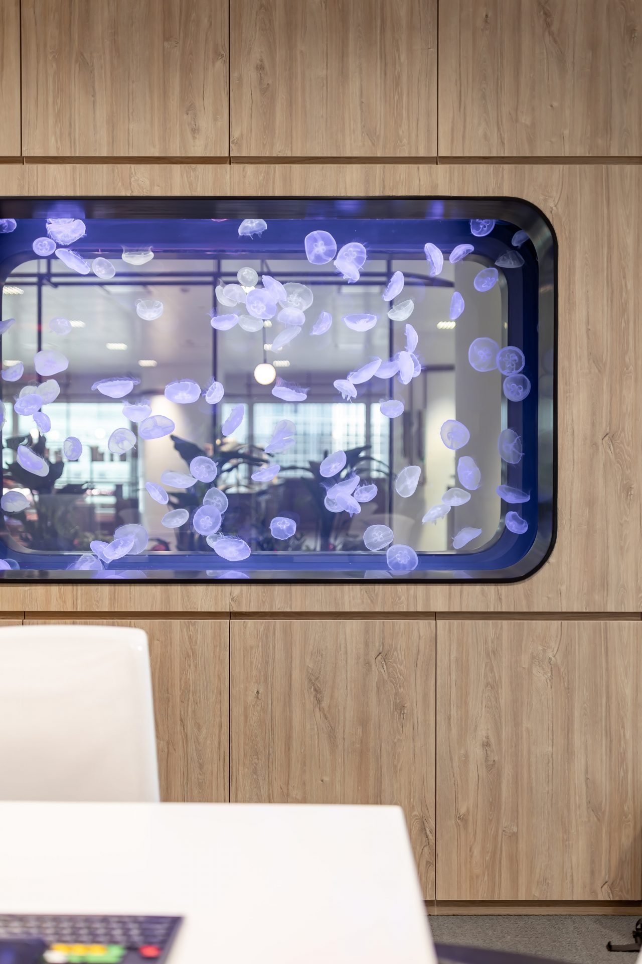 Bloomberg pantry and meeting-room feature wall | Official completion photographs
