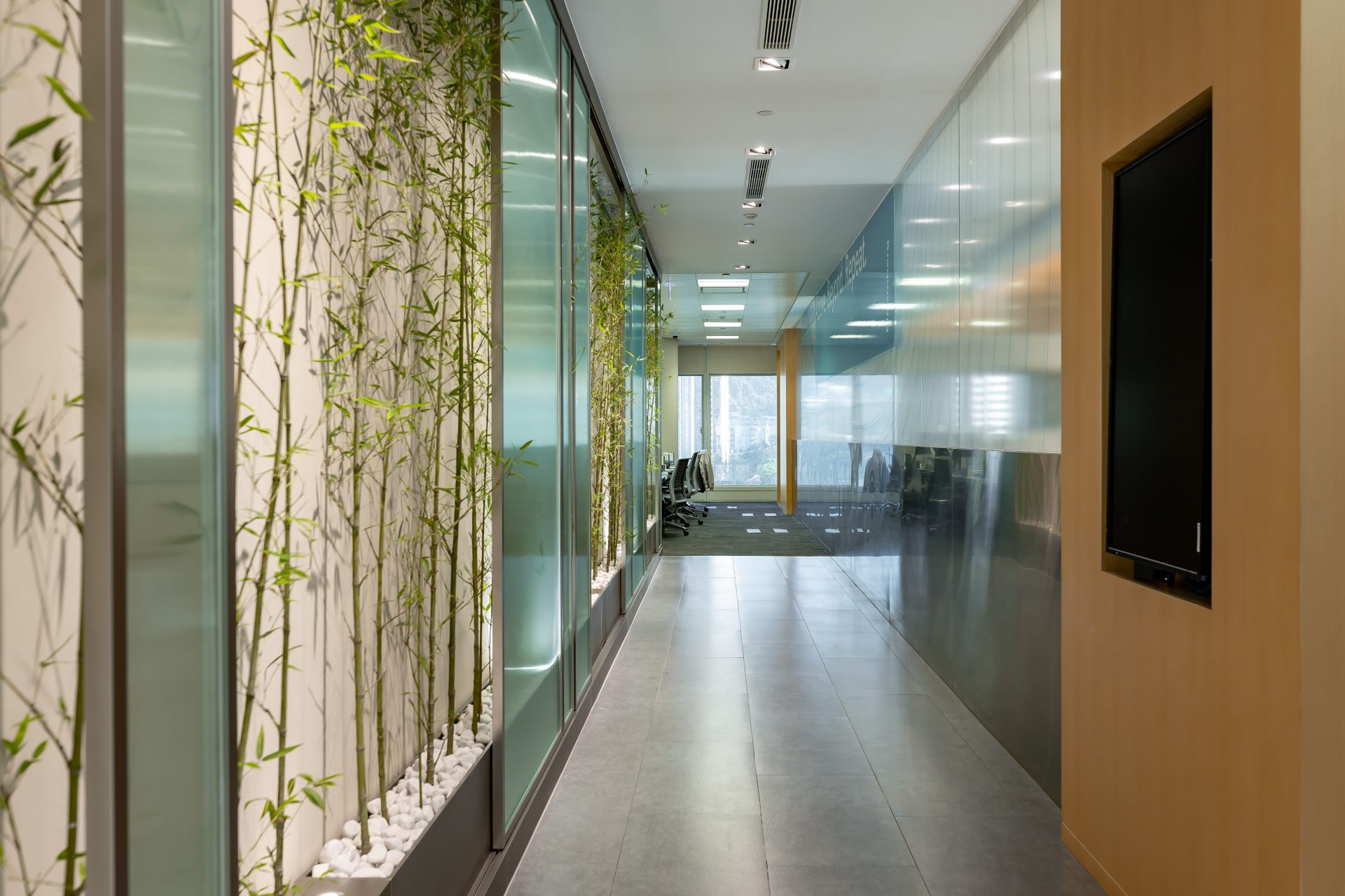 Bloomberg office feature wall | Feature wall and lighting design
